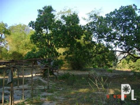 olongapo zambales agricultural lot for sale
